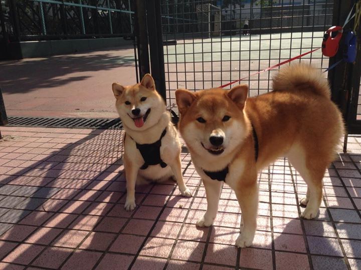 NBA历史数据更新,詹姆斯助攻数升至历史第四,詹姆斯总助攻数