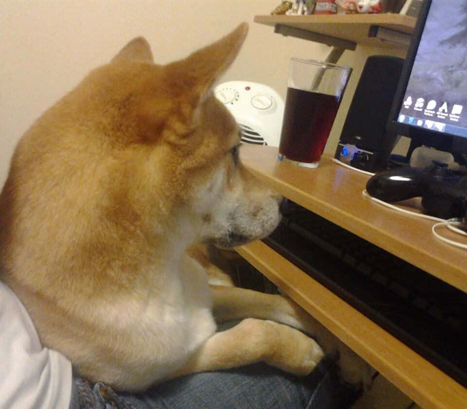 _运动科普讲座：普及科学运动知识_，运动知识健康科普