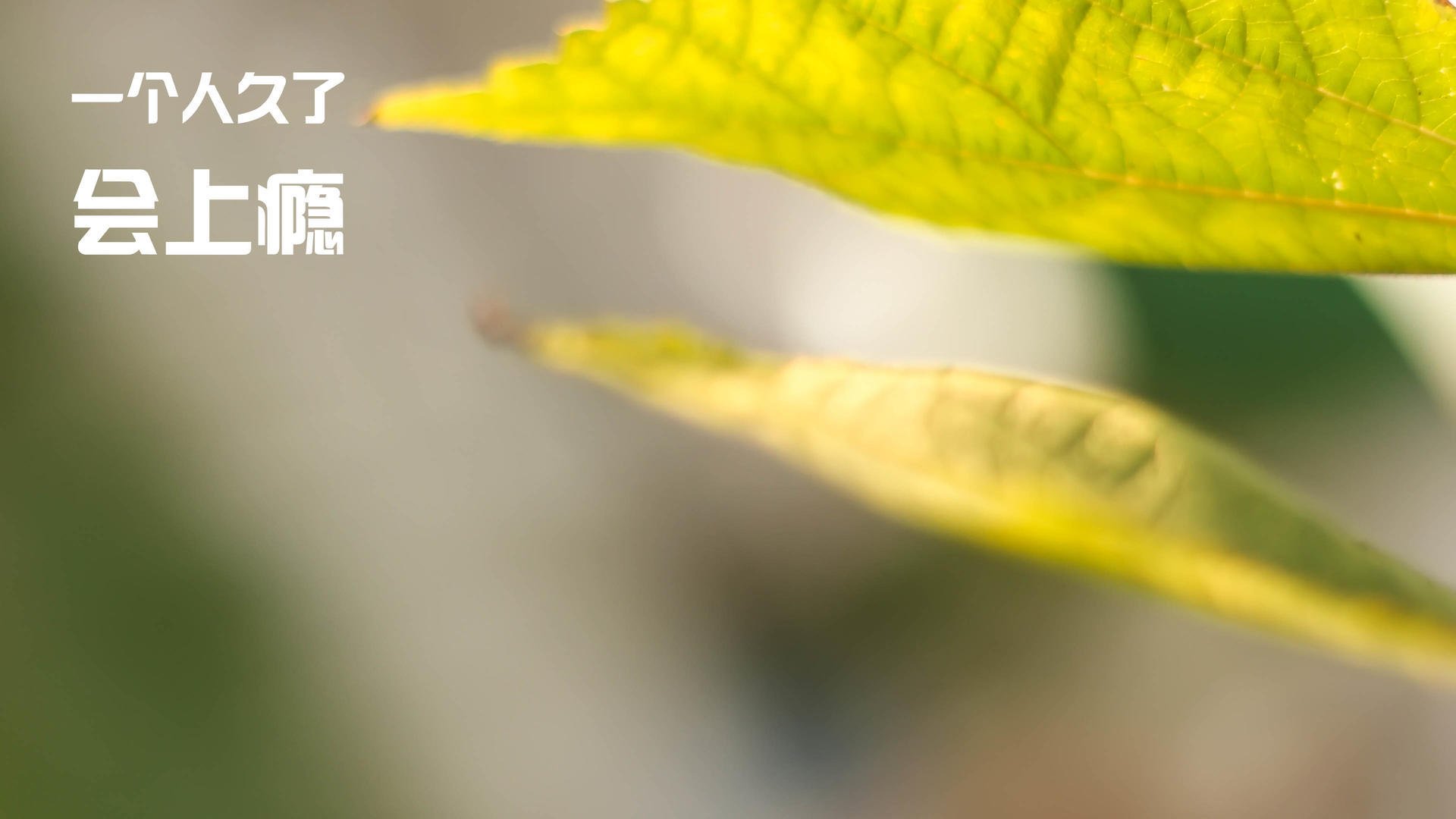 “本周最热战役：快船逆转雷霆，球迷沸腾”，快船又要逆转