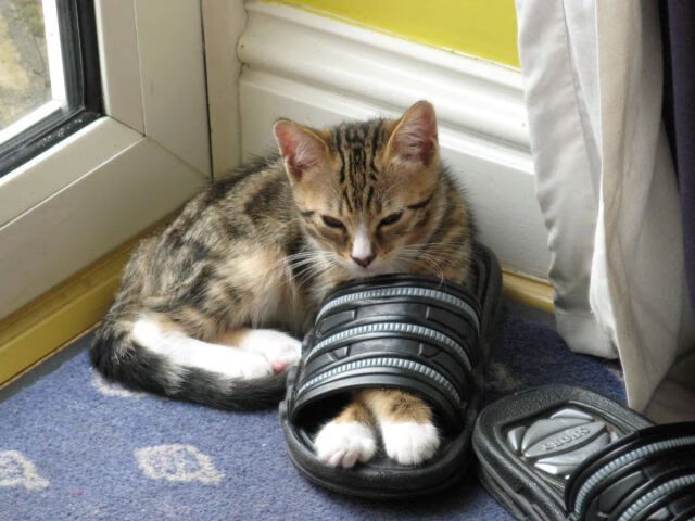 【多角度直播体验】虚拟现实带来沉浸式观赛新玩法，沉浸式虚拟演播室