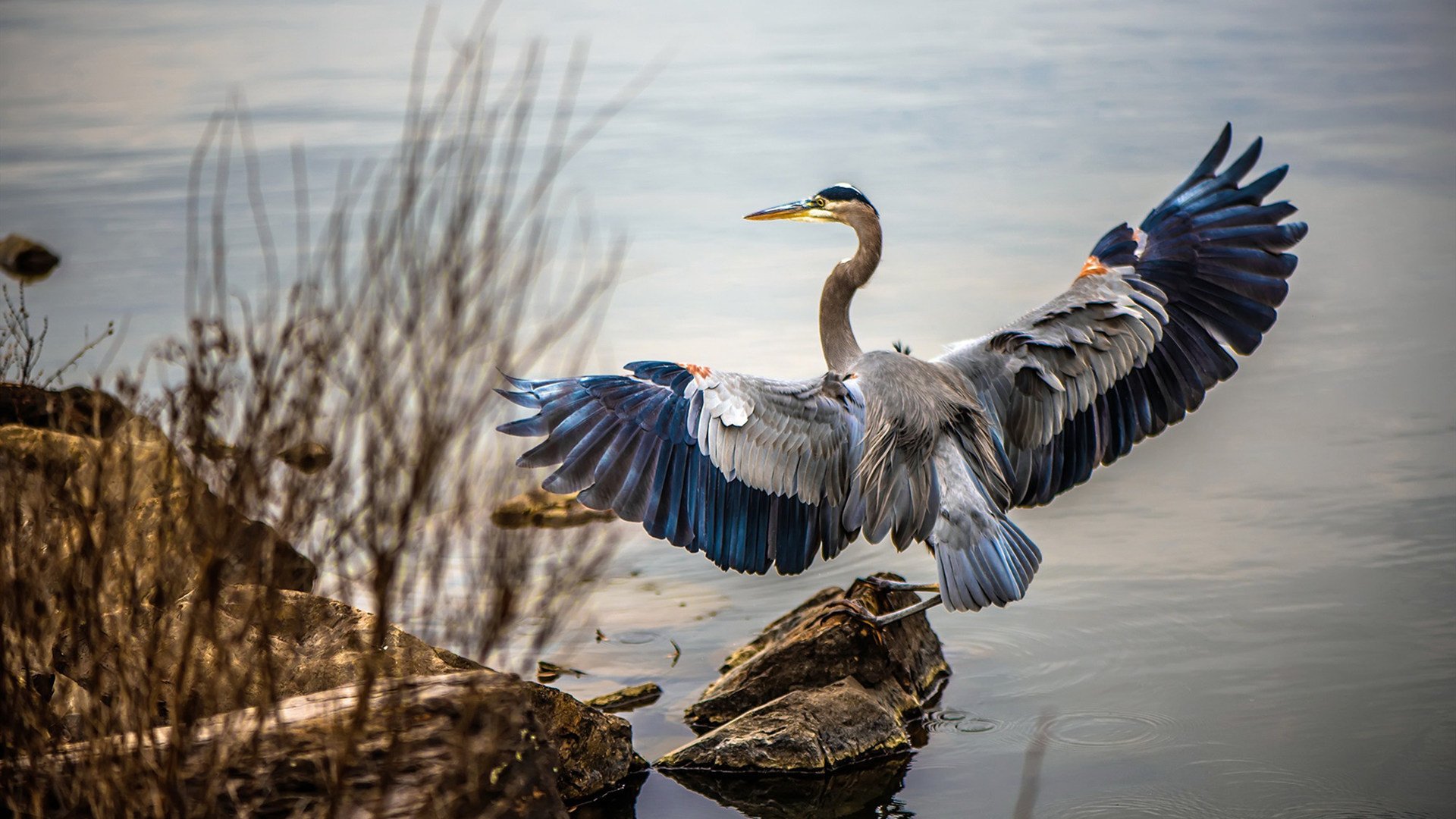 【大数据分析】投手和击球手的表现如何被“量化”?,投球后击掌算犯规么