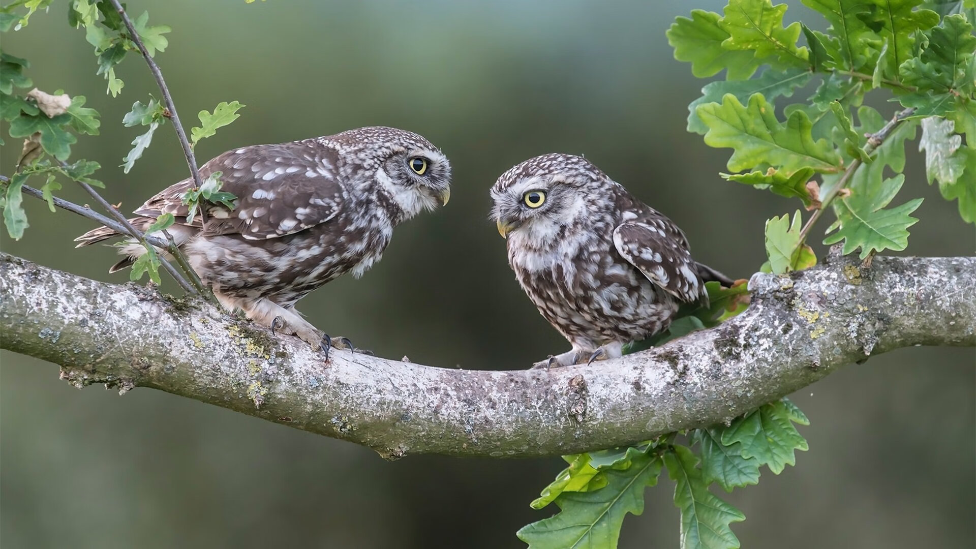 【大数据助力】如何让战术决策更科学、更精准？，战术决策案例