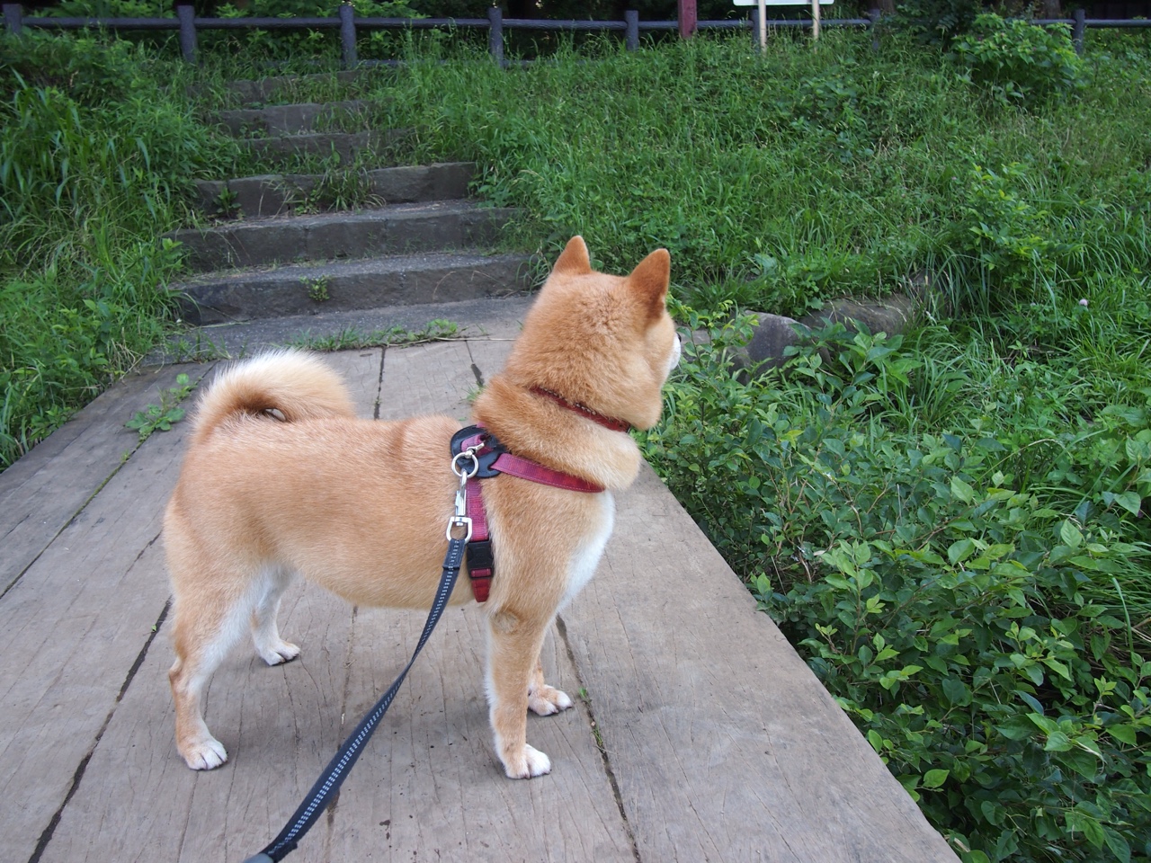 【大数据让比赛更科学】全方位数据指数助推赛场决策，大数据技能比赛都比什么