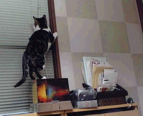 【大数据驱动】比赛分析帮球队制定“秘密武器”战术