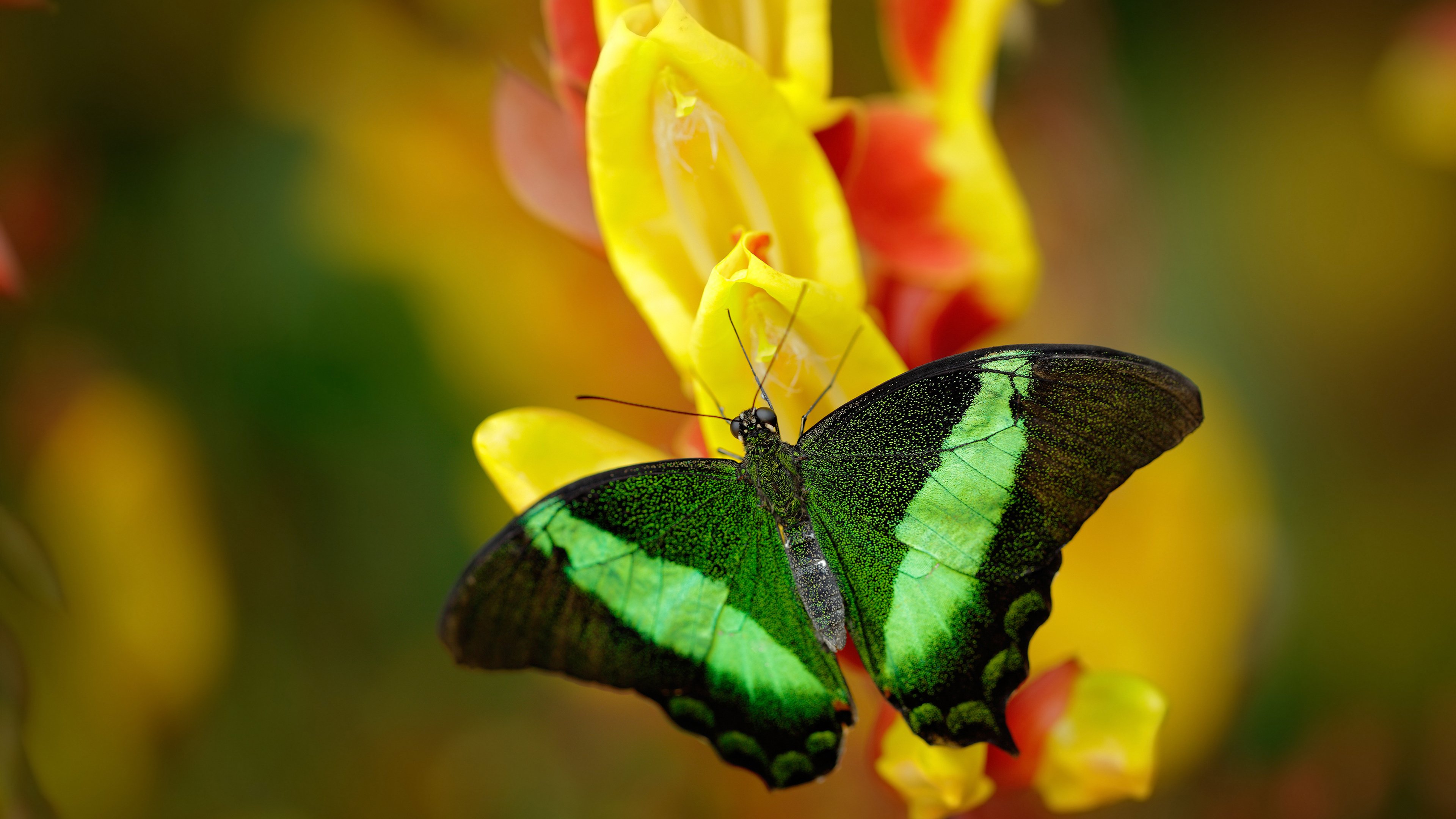 体育科技企业携手高校推动青少年篮球智能化培训，ybdl青少年篮球培训