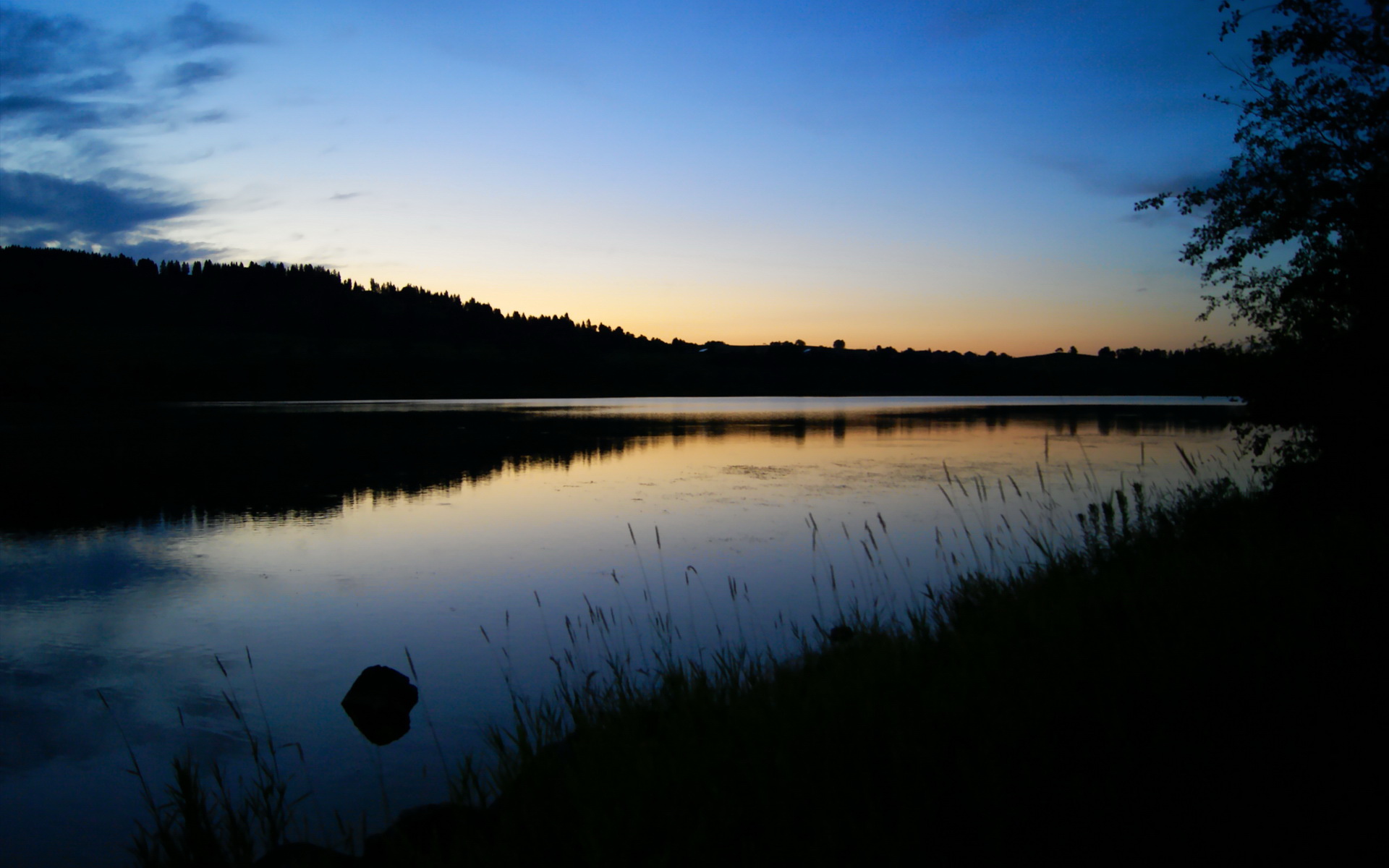 影响深远：联盟在青少年推广中的创新之路，影响联盟官网