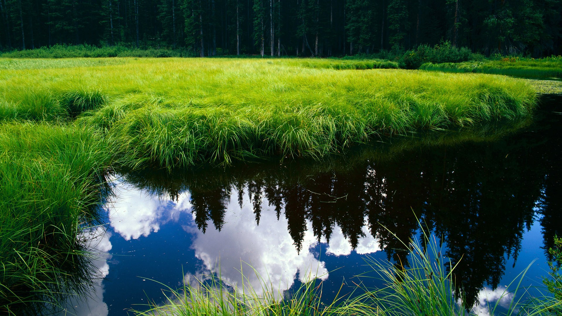 推动瑜伽与其他运动项目的融合发展,瑜伽与健身怎么结合