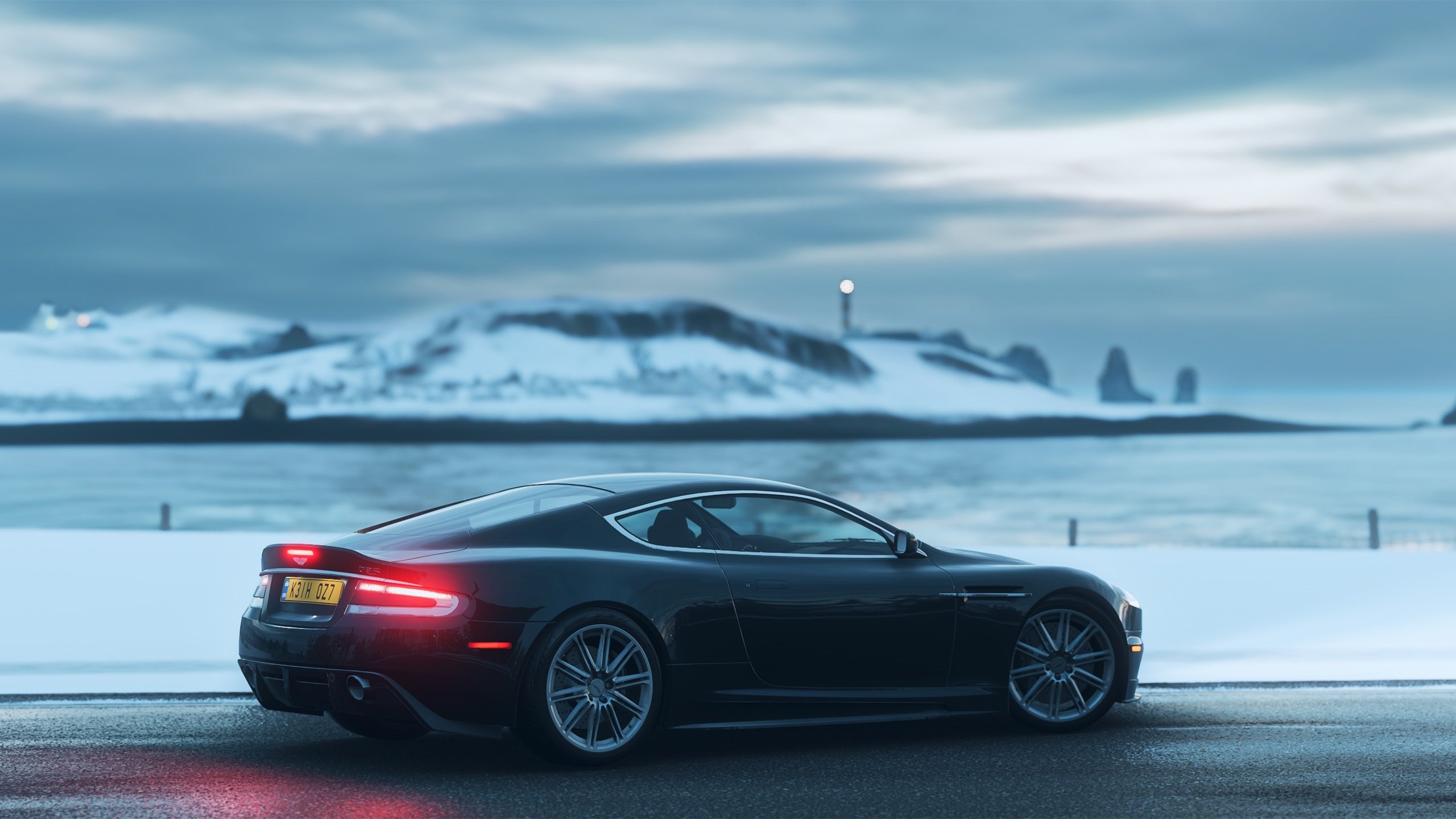 荷兰马术协会与国际马术联合会合作，举办国际马术交流活动，促进技术交流。