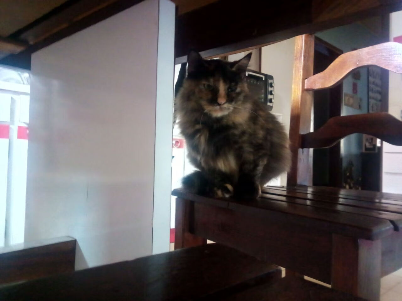 利物浦扩大领先，锁定欧冠四强席位，利物浦欧冠排名