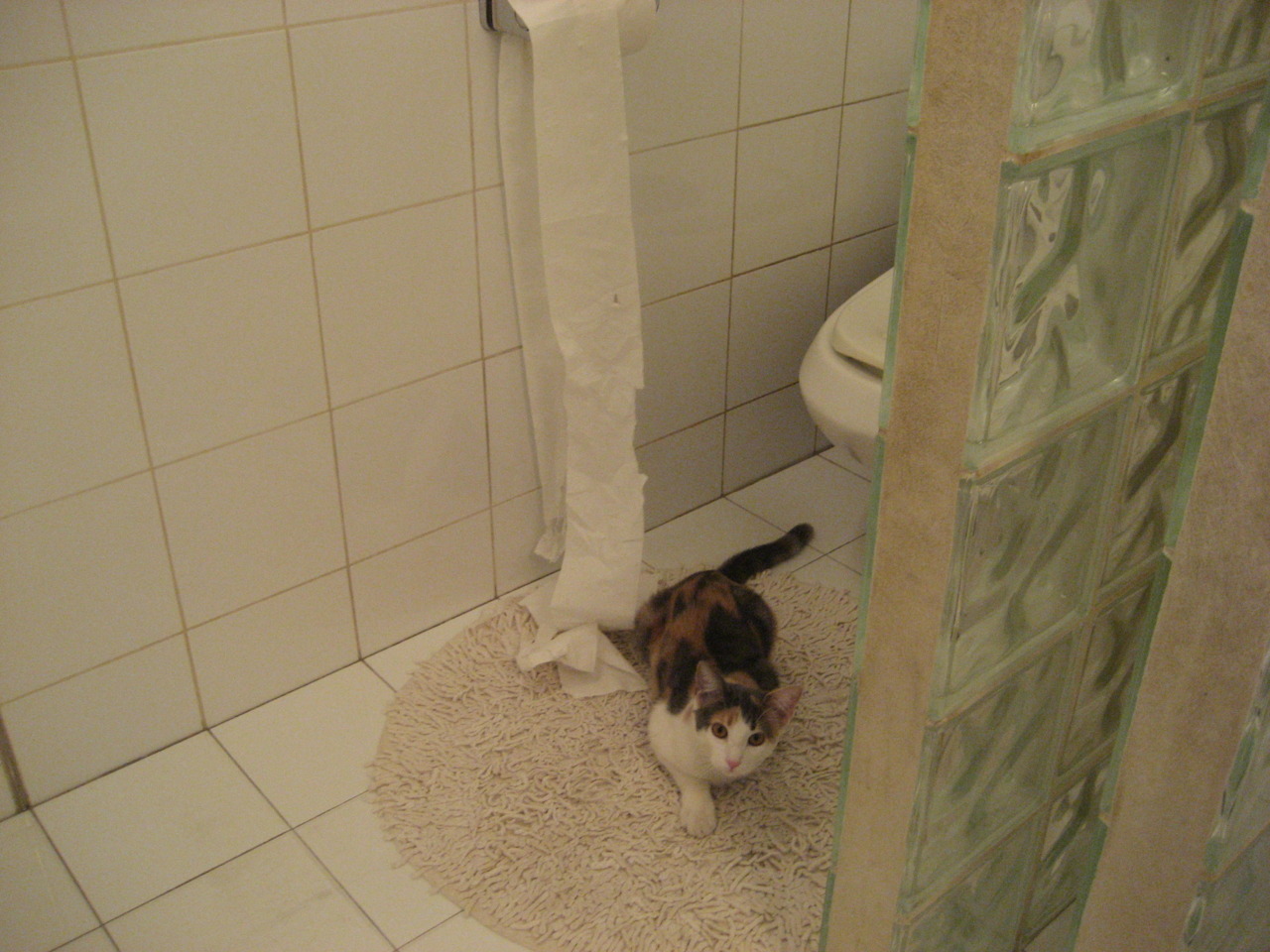 双方激战分钟，点球大战颇多惊险刺激，点球大战规则大小玩法