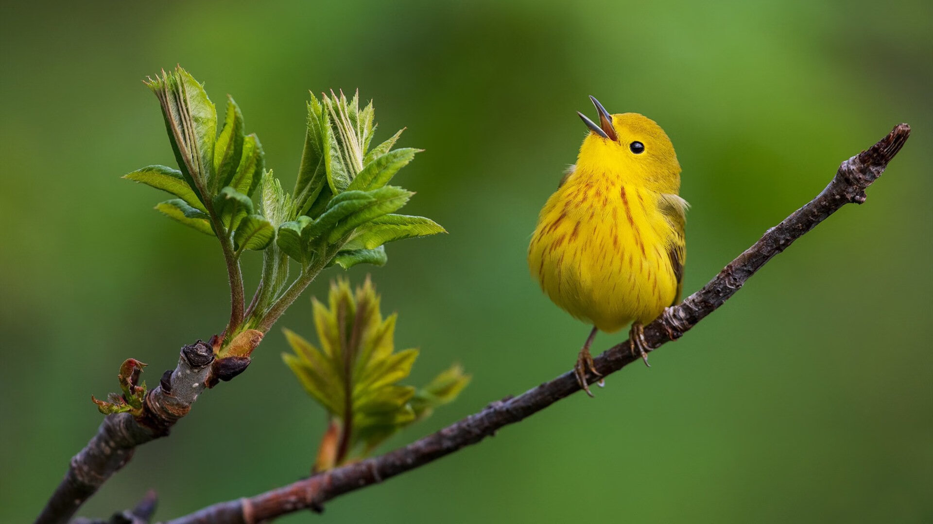 媒体采访是否应设立统一内容限制范围,新闻媒体采访规定