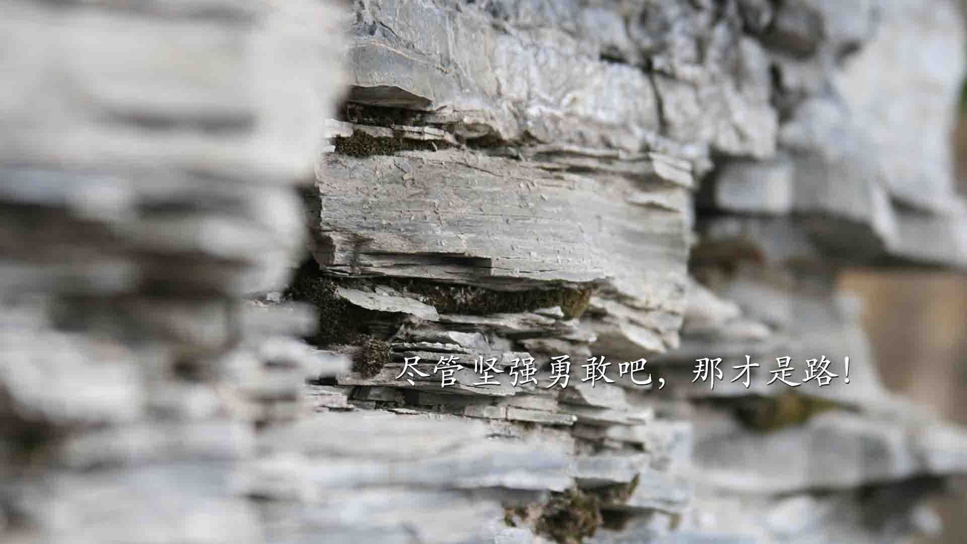 热刺惊险逆转,主场取胜提升排名,热刺进攻