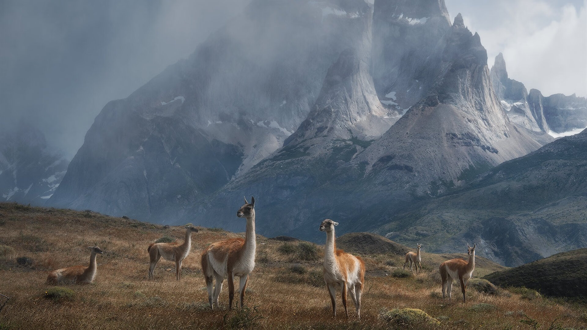 瑞士马术队在巴黎奥运会团体障碍赛中获得第四名，表现稳健。，瑞士骑马