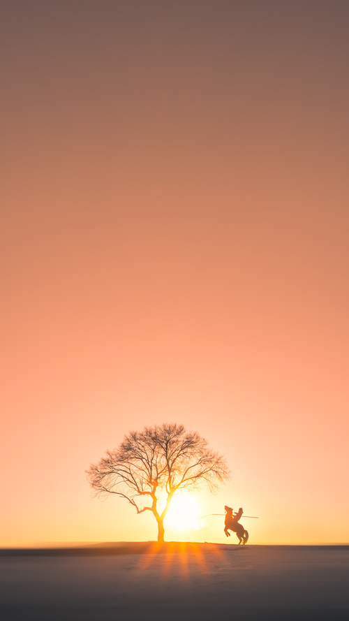 突发橄榄球员疑似违规事件,突发橄榄球员疑似违规事件怎么处理