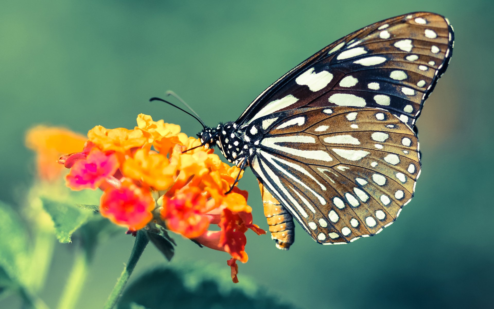 突发游泳馆水质引发争议,游泳馆检测到水质问题怎么办