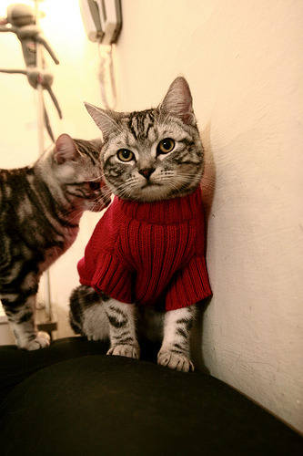 突发篮球裁判终场哨响前误操作，篮球场裁判各种情况下哨声