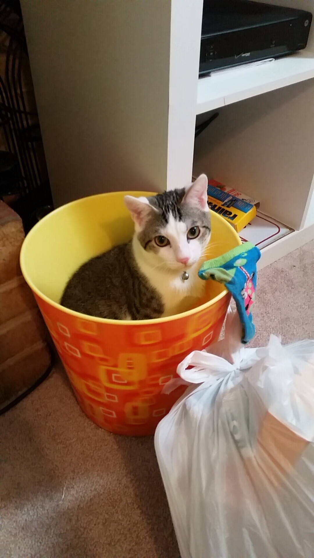 里尔客场战平里昂，延续不败纪录，里尔对里昂