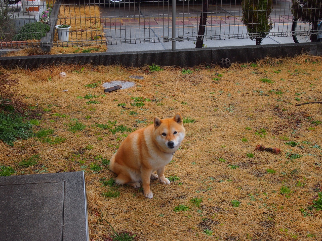 城市健身基础设施运营机制分析,全民健身基础设施建设