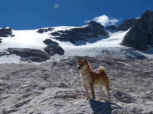 意甲球队基于心率变异性优化训练计划，心率变异性在训练中的应用