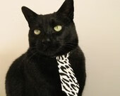 基层青训基地缺乏科技辅助设施，基层青训基地缺乏科技辅助设施的原因