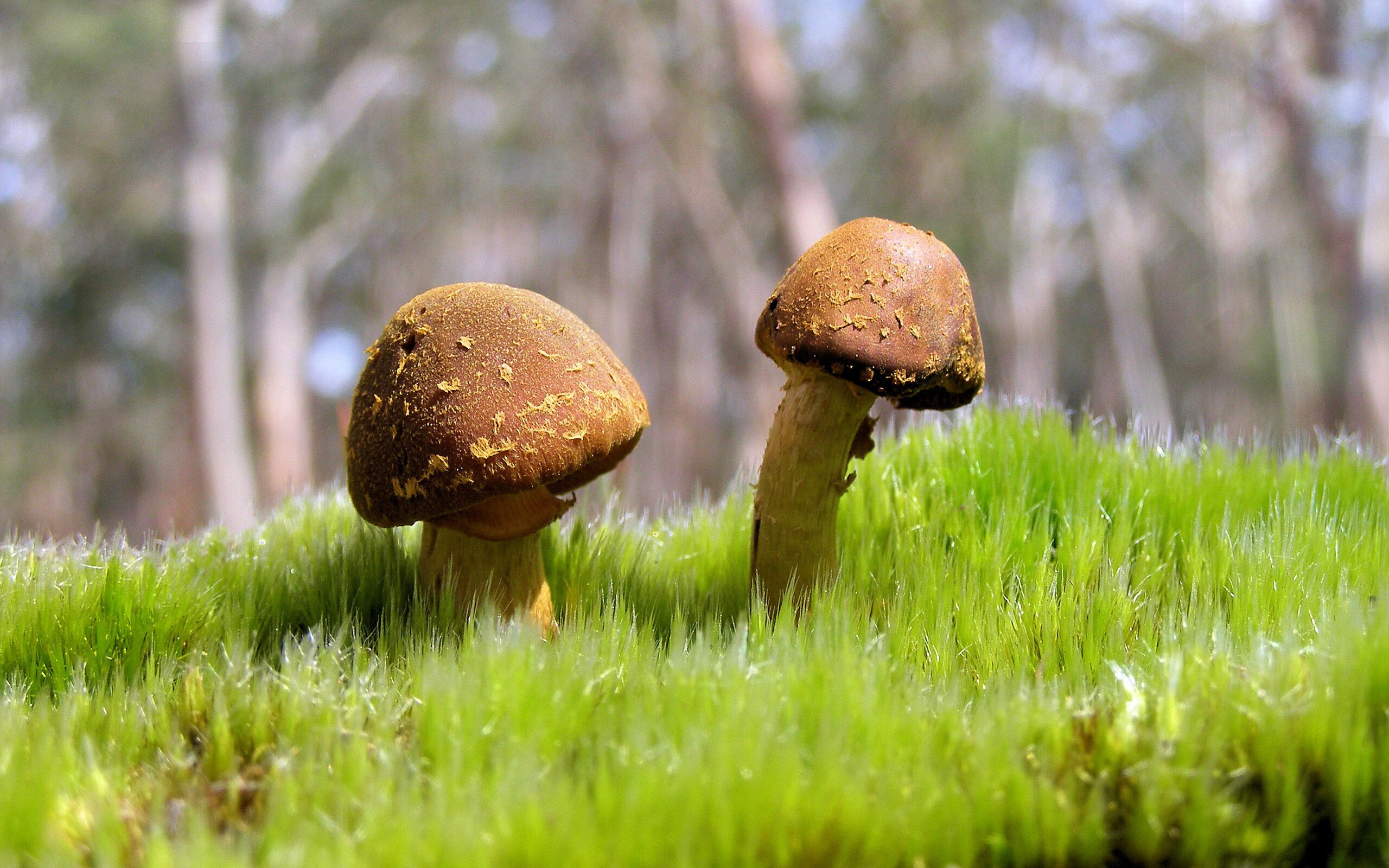 尼斯防守站位统一化解多次险情，尼克斯防守