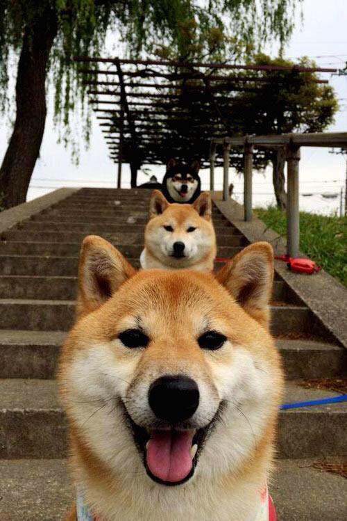 马其顿男篮在欧洲预赛中拼搏奋战，迈向国际舞台新高度，马其顿欧冠